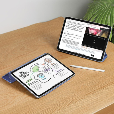 ESR Rebound Magnetic Case for iPad Pro 11&#39;&#39; 2024 - Purple